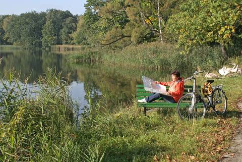 Der Fischzucht ist es zu verdanken, dass die Oberlausitzer Heide- und Teichlandschaft über 1.000 Teiche umfasst. Foto: djd/Stadt Bautzen