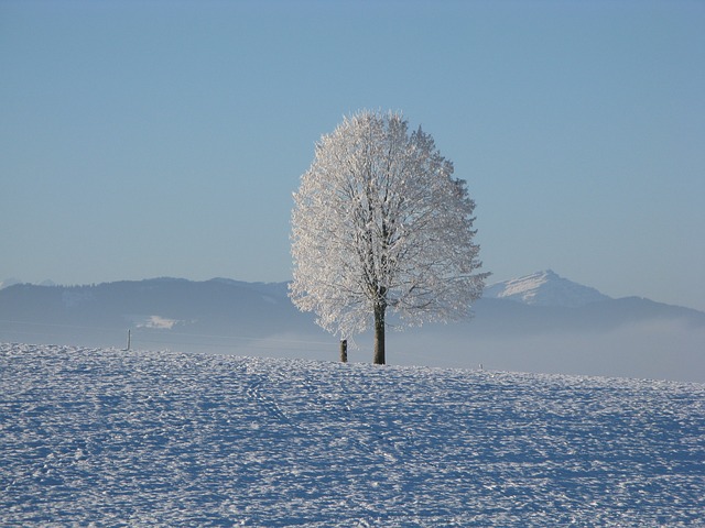 Winterurlaub in Deutschland
